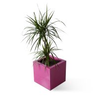 Cubique 3030