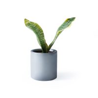 Rond Petit Modèle 10