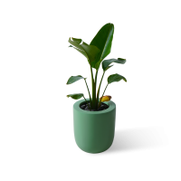 Conique H35×D30×d15